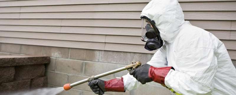 24 hour rodent removal in Davin orange pest control in Davin