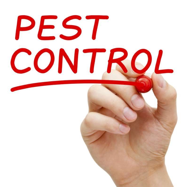 industrial pest control in Northfork silverfish pest control in Northfork