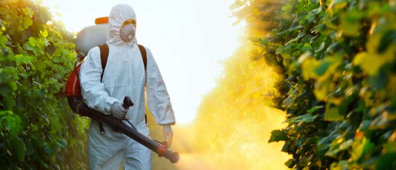 local pest control companies in Mosheim flick pest control in Mosheim