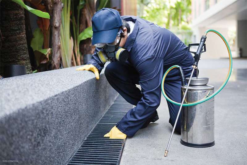 cheap pest control services in Fort Lee