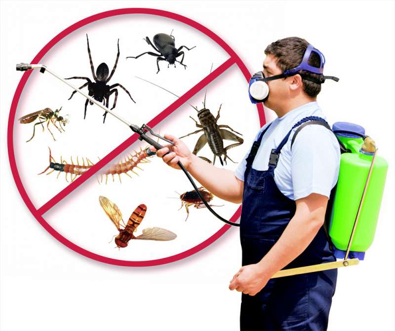professional pest control products in Bates local pest control services in Bates
