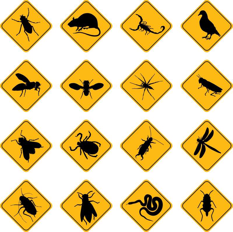 commercial pest control services in Dayton
