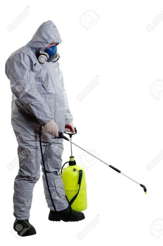 professional pest control services in Dibble pest control ants in Dibble