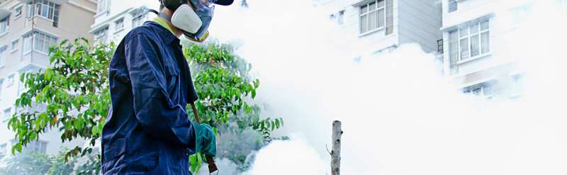 emergency rat removal in Prince fly pest control in Prince