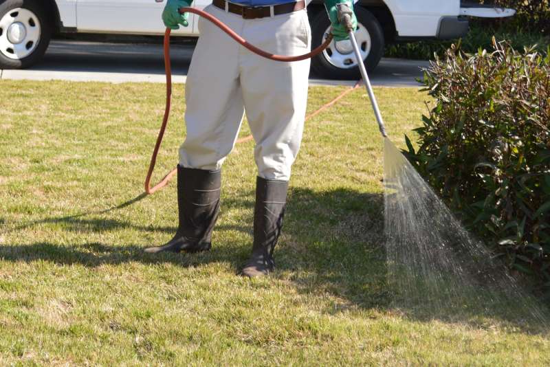 integrated pest control in Axton