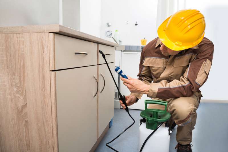 residential pest control company in Mcminnville pest eliminators in Mcminnville