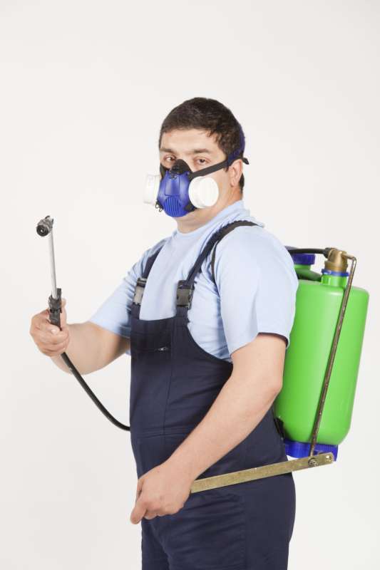 pest management professional in Erwin bug out pest control in Erwin