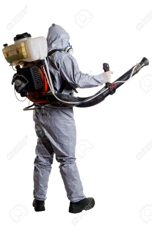 pest control flies in Westmoreland environmental pest control in Westmoreland