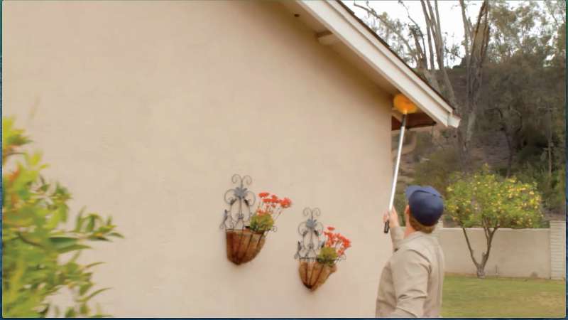 orange pest control in Cartersville garden pest control in Cartersville