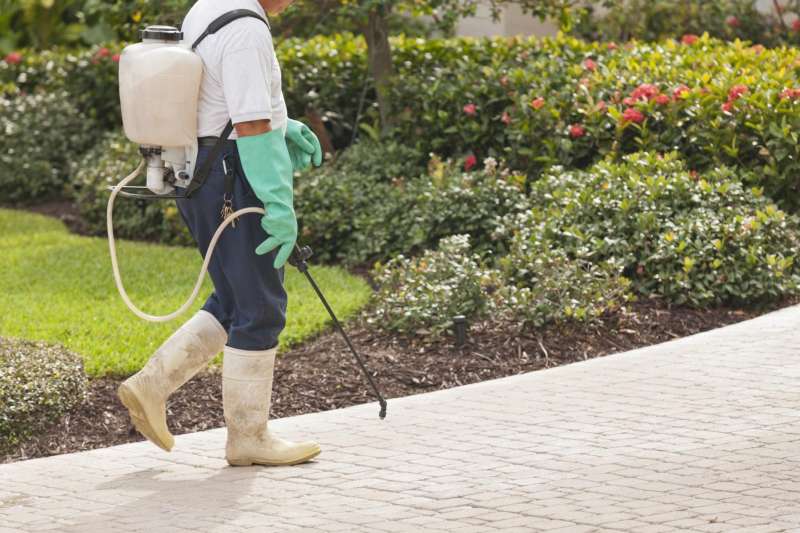 scorpion pest control in Wardtown organic garden pest control in Wardtown