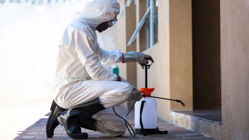emergency rat removal in Keeling peachtree pest control in Keeling
