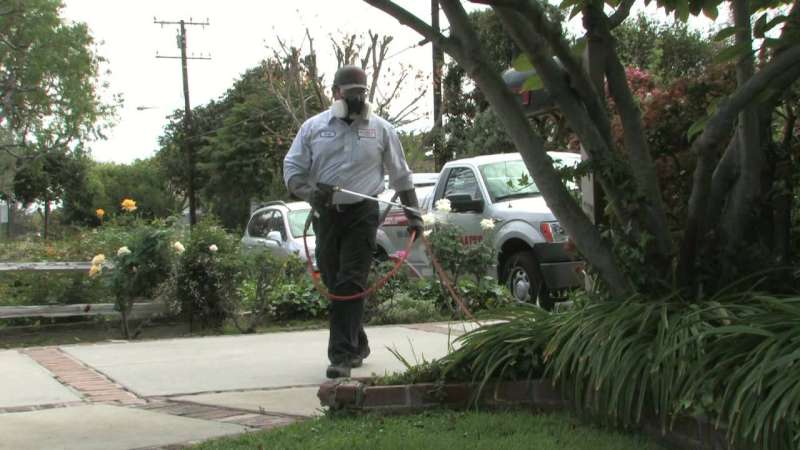 tree pest control in Tryon 24 seven pest control in Tryon