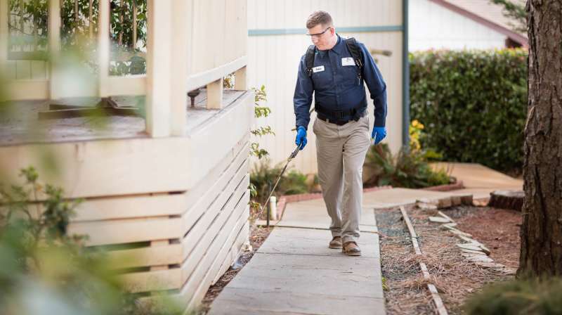 emergency rodent control in Echo emergency exterminator in Echo