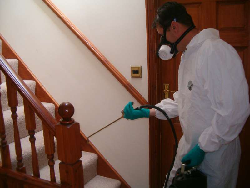 pest services in Hastings