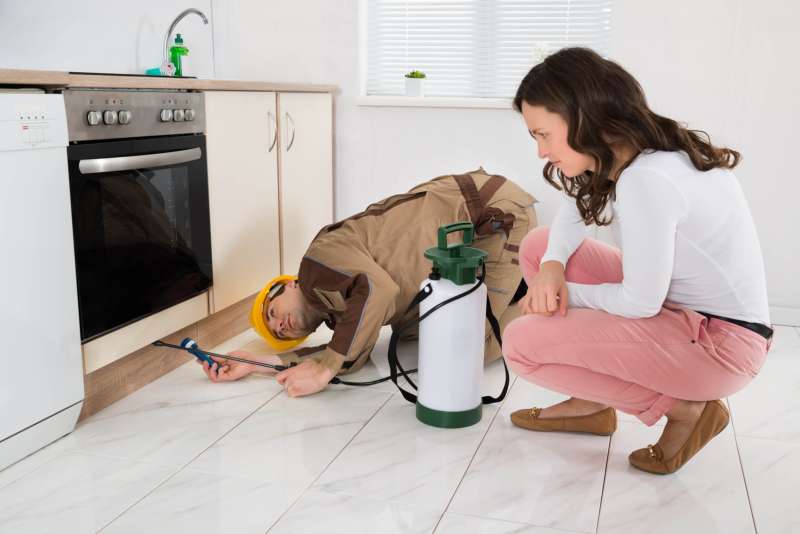 termite pest control service in Tryon pest pro in Tryon