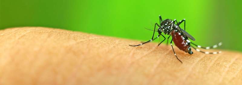 local pest control companies in Aline bug out pest control in Aline