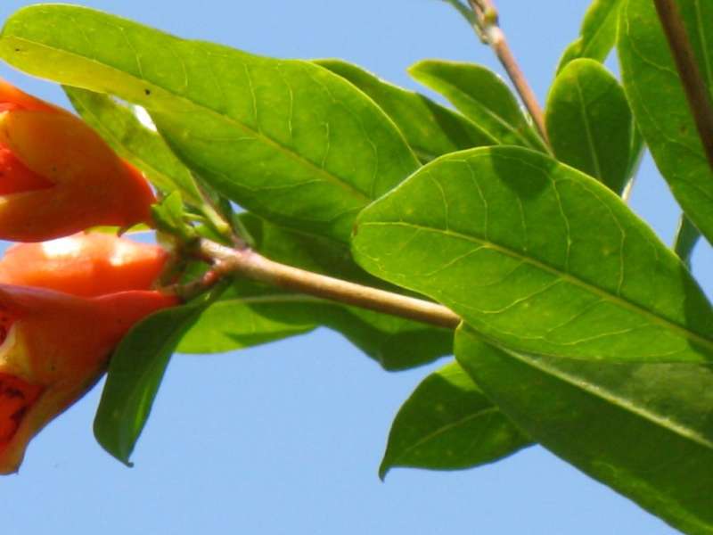 licensed pest control in Lyme local pest control services in Lyme