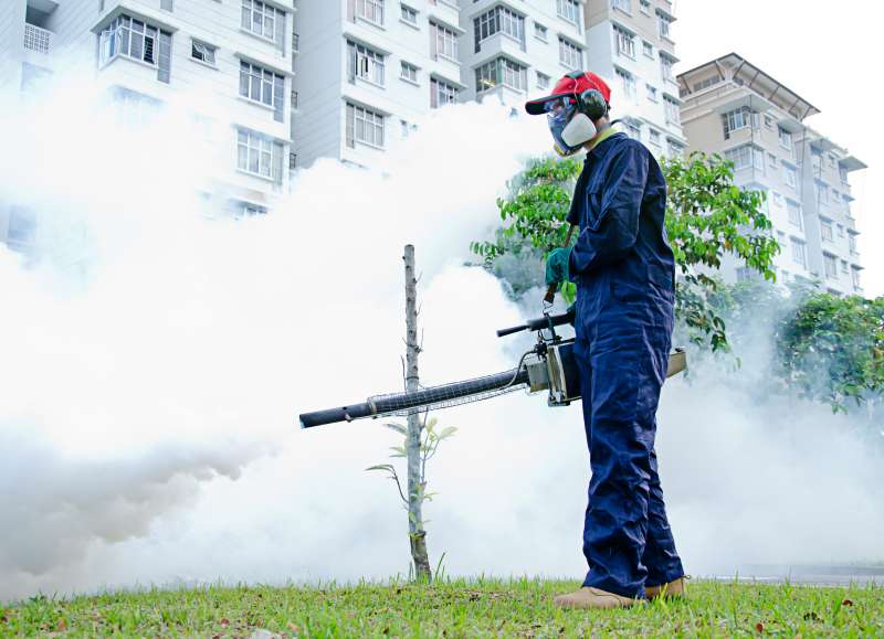pest exterminators in Keeling silverfish pest control in Keeling