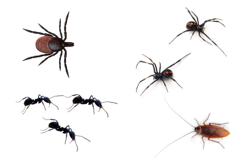 cats eye pest control in Rainelle house pest control in Rainelle