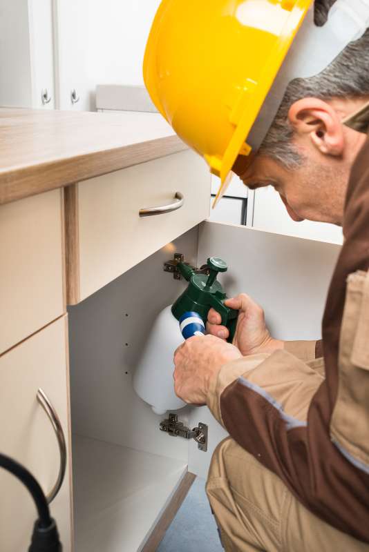 home pest control products in Sandown peachtree pest control in Sandown