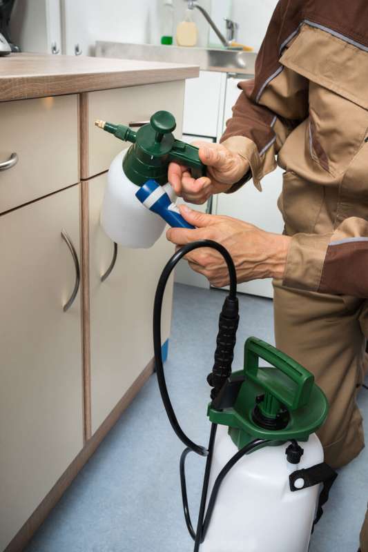 chemical pest control in Gans exterminator 24 hours in Gans