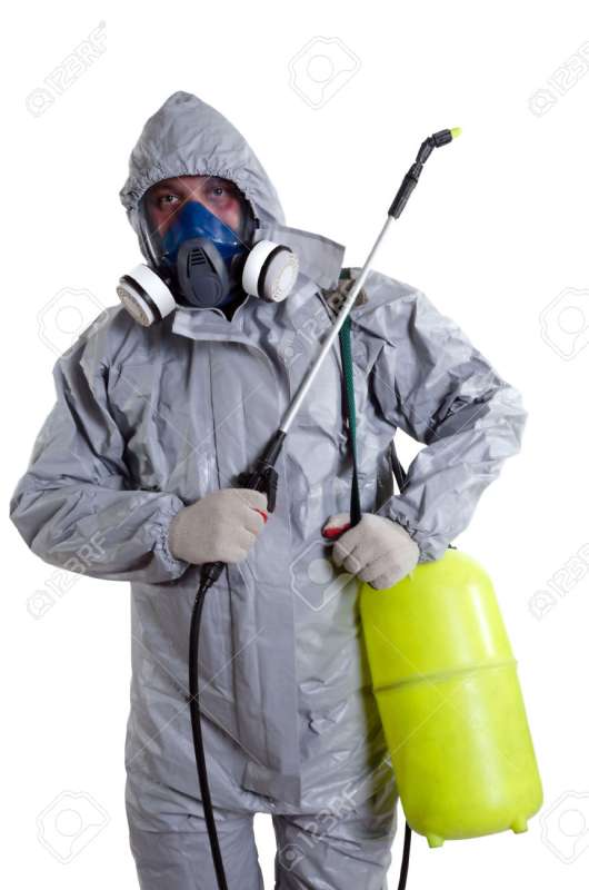 pest eliminators in Palmer pest eliminators in Palmer