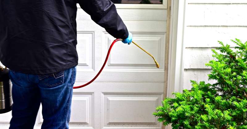 roach pest control in Danville quality pest control in Danville