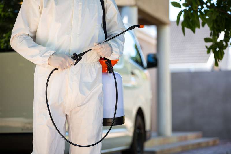 gopher pest control in Erwin 24 pest control in Erwin