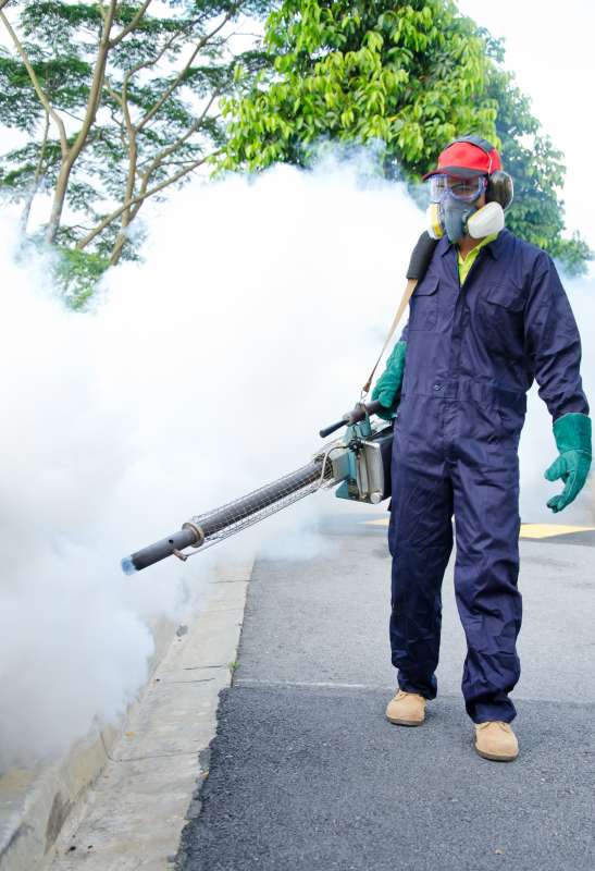 pest control flies in Old Fields professional pest control services in Old Fields