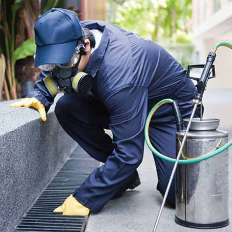 pest control ultrasonic in Felt