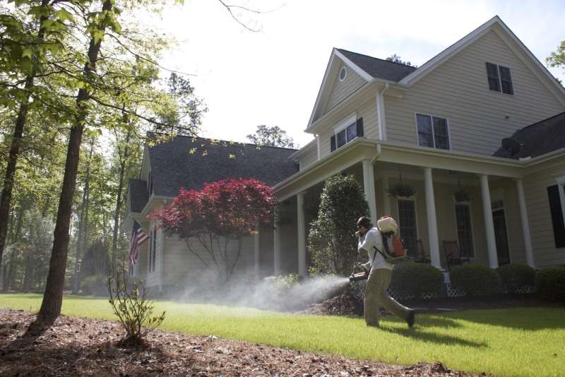 emergency pest removal in Echo general pest control in Echo
