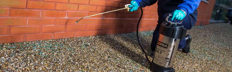 clarks pest control in Keeling pest control moles in Keeling