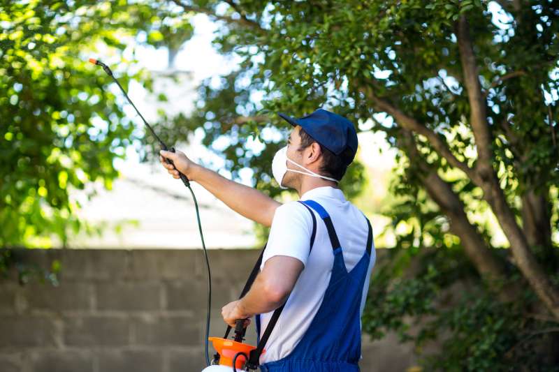 cats eye pest control in Moon emergency pest patrol in Moon