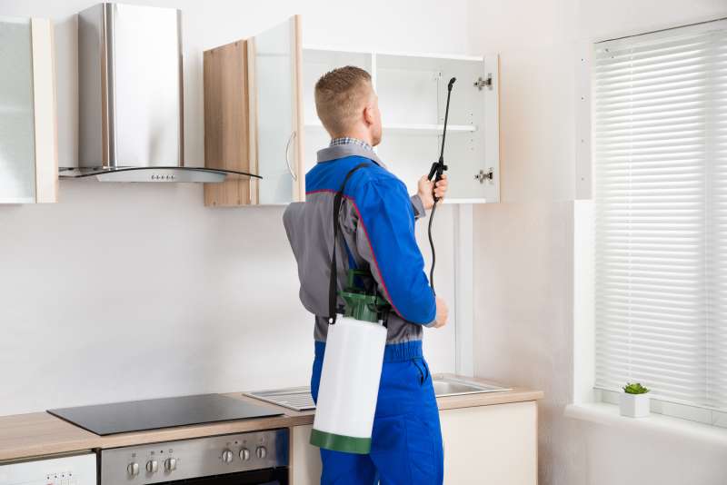 emergency exterminator near me in Commerce 24 7 exterminator in Commerce
