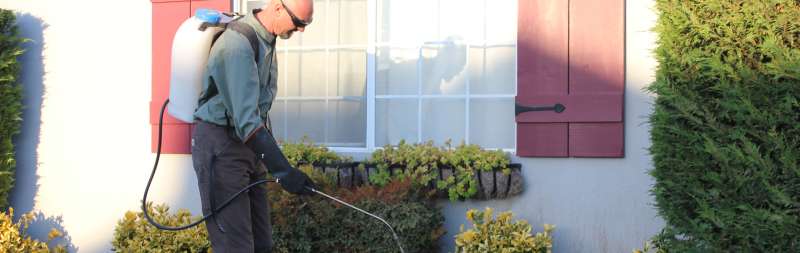 emergency exterminator in Reedsport licensed pest control in Reedsport