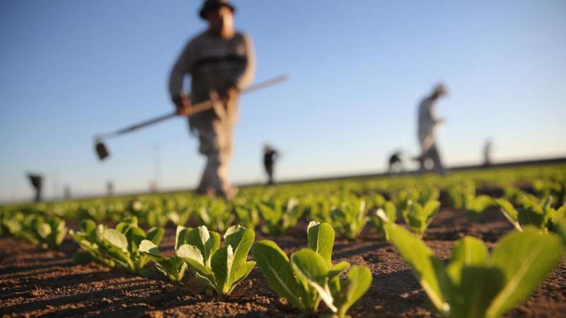 professional pest control company in Davin garden pest control in Davin