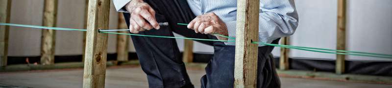 cats eye pest control in Wardtown insect pest control in Wardtown