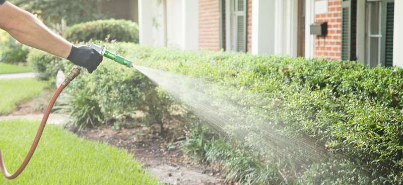 pest control online in Moon mosquito pest control in Moon