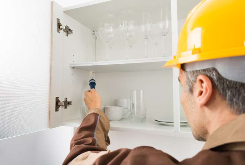 clarks pest control in Clear Brook pet friendly pest control in Clear Brook