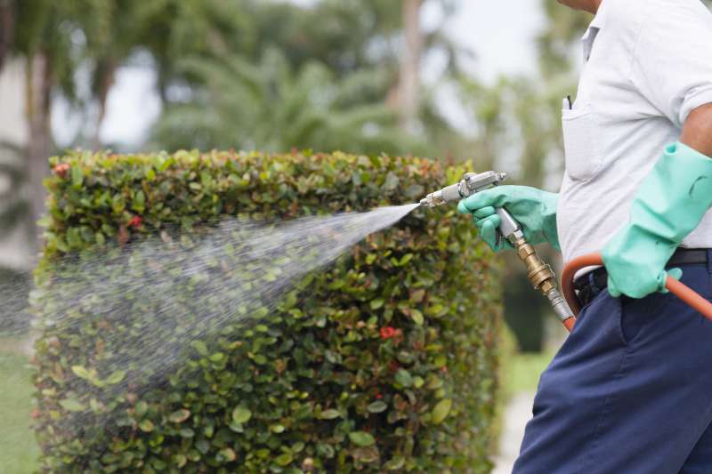 pest control ultrasonic in Oxbow scorpion pest control in Oxbow