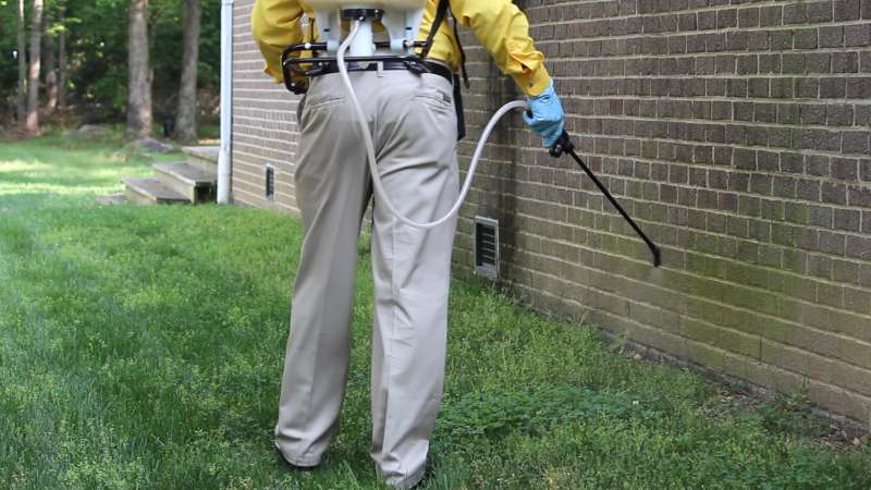 pigeon pest control in Philomont fumigation pest control in Philomont