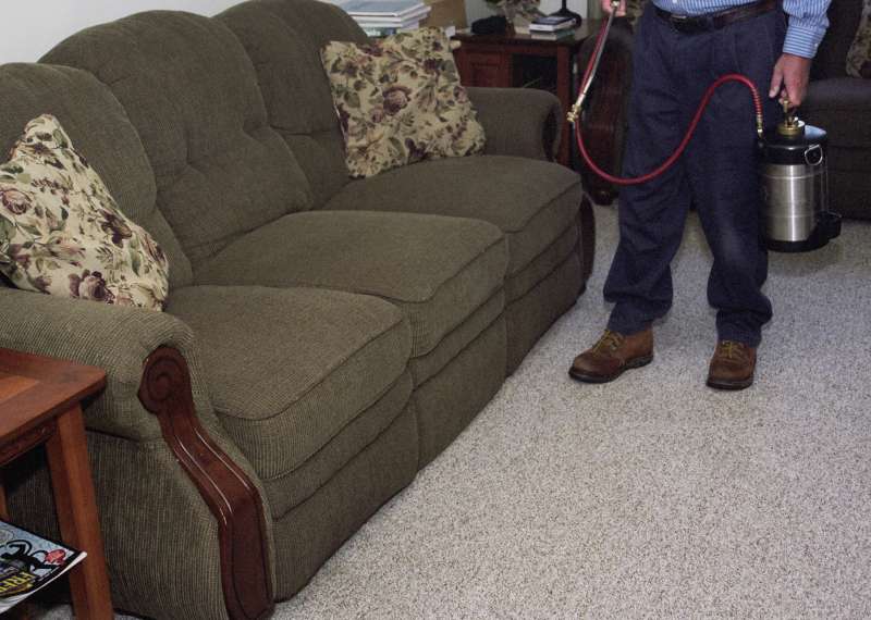 pest prevention in Echo pest control rates in Echo