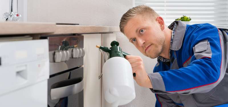 clarks pest control in Stanardsville pet friendly pest control in Stanardsville