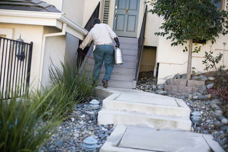 industrial pest control in Bates emergency pest services in Bates