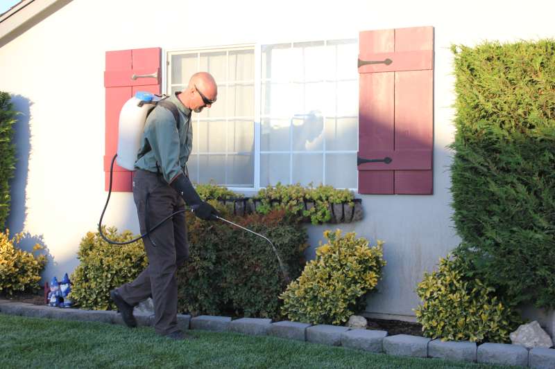 pest management professional in Blodgett