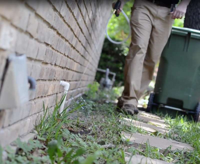 effective pest control in Keeling pest prevention in Keeling