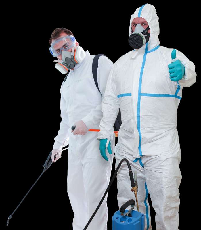 animal pest control in Davin pigeon pest control in Davin