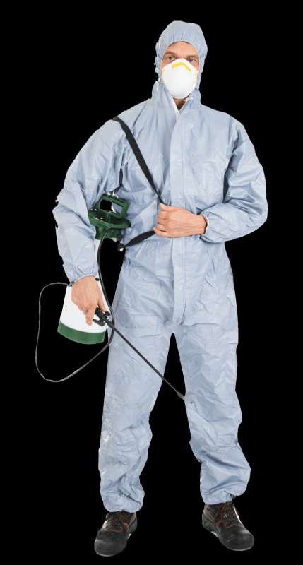 emergency rodent control in Dundee pest control hotline in Dundee