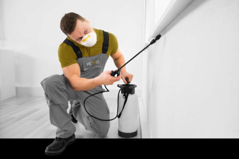 emergency exterminator in Victor commercial pest control services in Victor